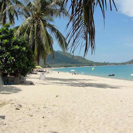 Kingston Jamaica Hostel Lamai Beach  Zewnętrze zdjęcie